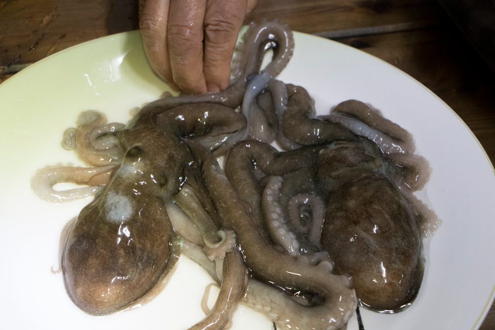 live octopus dish