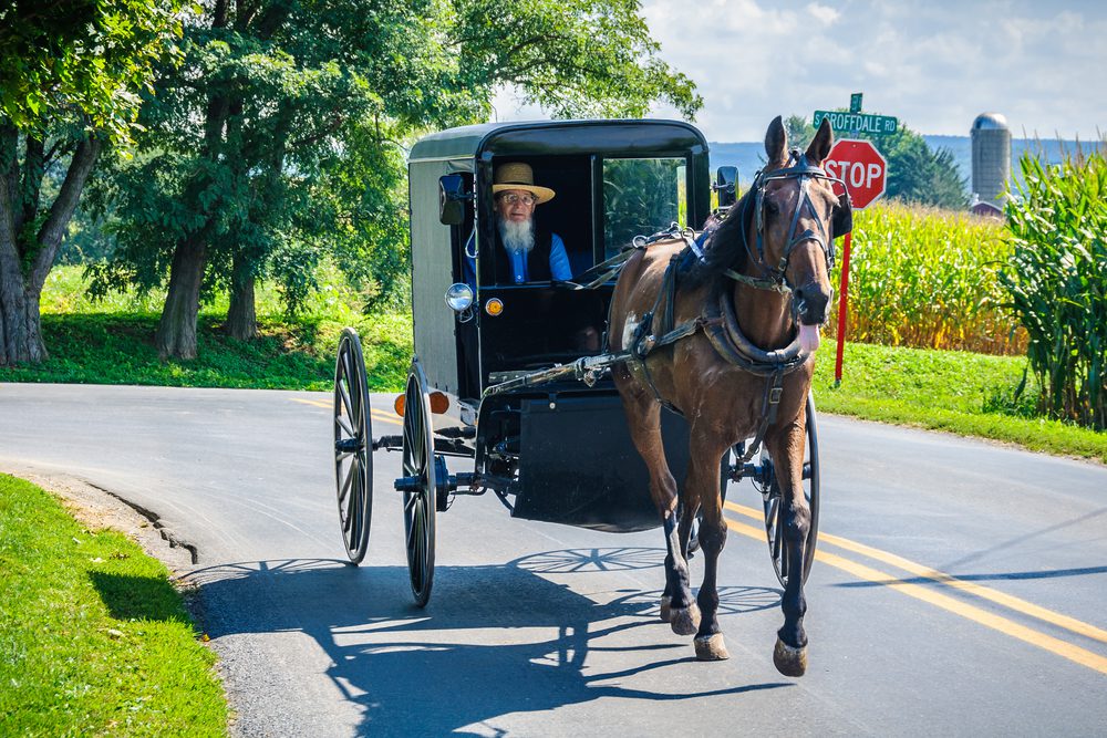 amish people