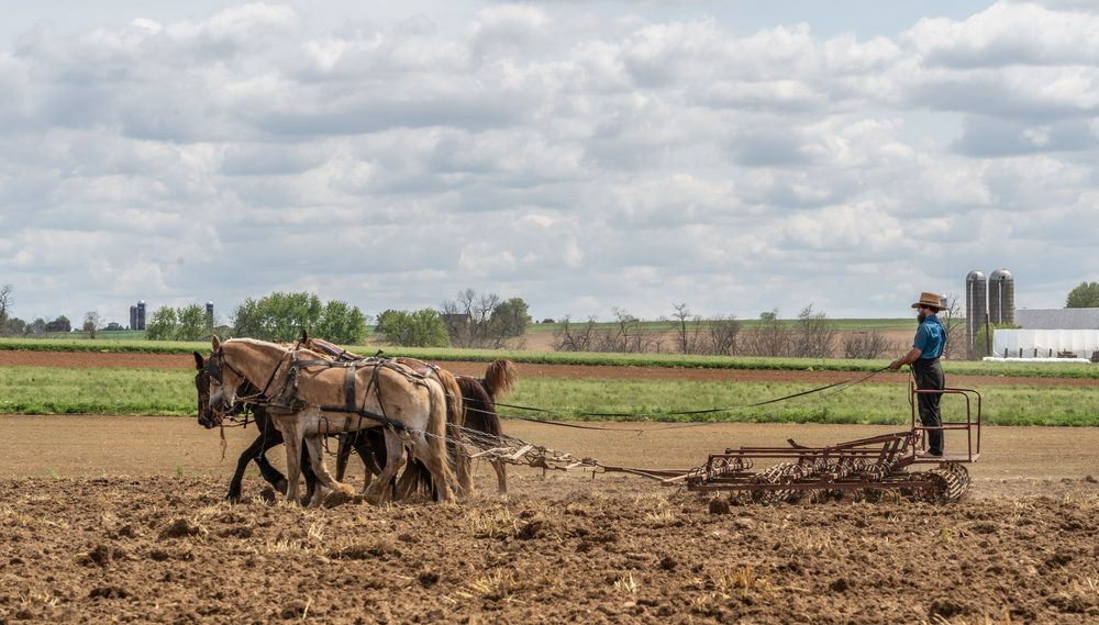 amish people